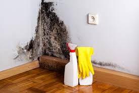 Best Mold Odor Removal Services in Sunbury, PA